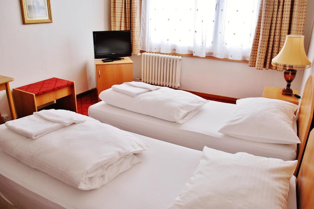 Hotel Patria Trutnov Extérieur photo